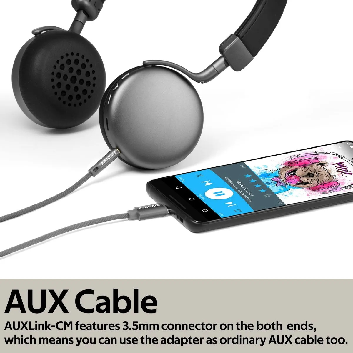 2-in-1 USB-C/3.5mm to 3.5mm AUX Audio Cable