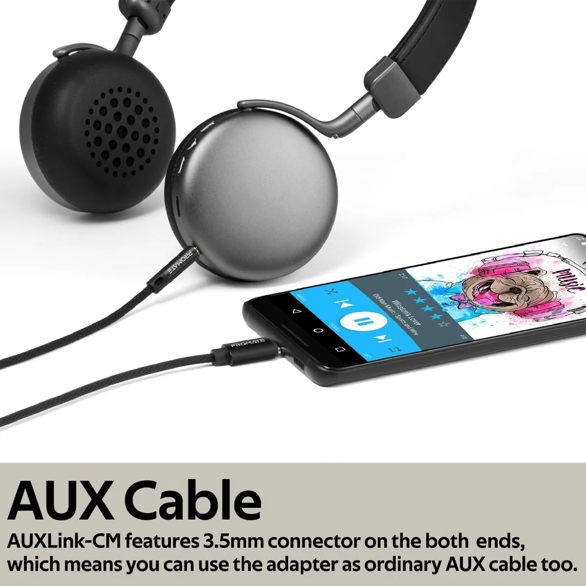 2-in-1 USB-C/3.5mm to 3.5mm AUX Audio Cable