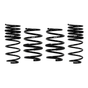 2876.140 Eibach PRO-KIT Performance Springs (Set of 4 Springs) DODGE Charger