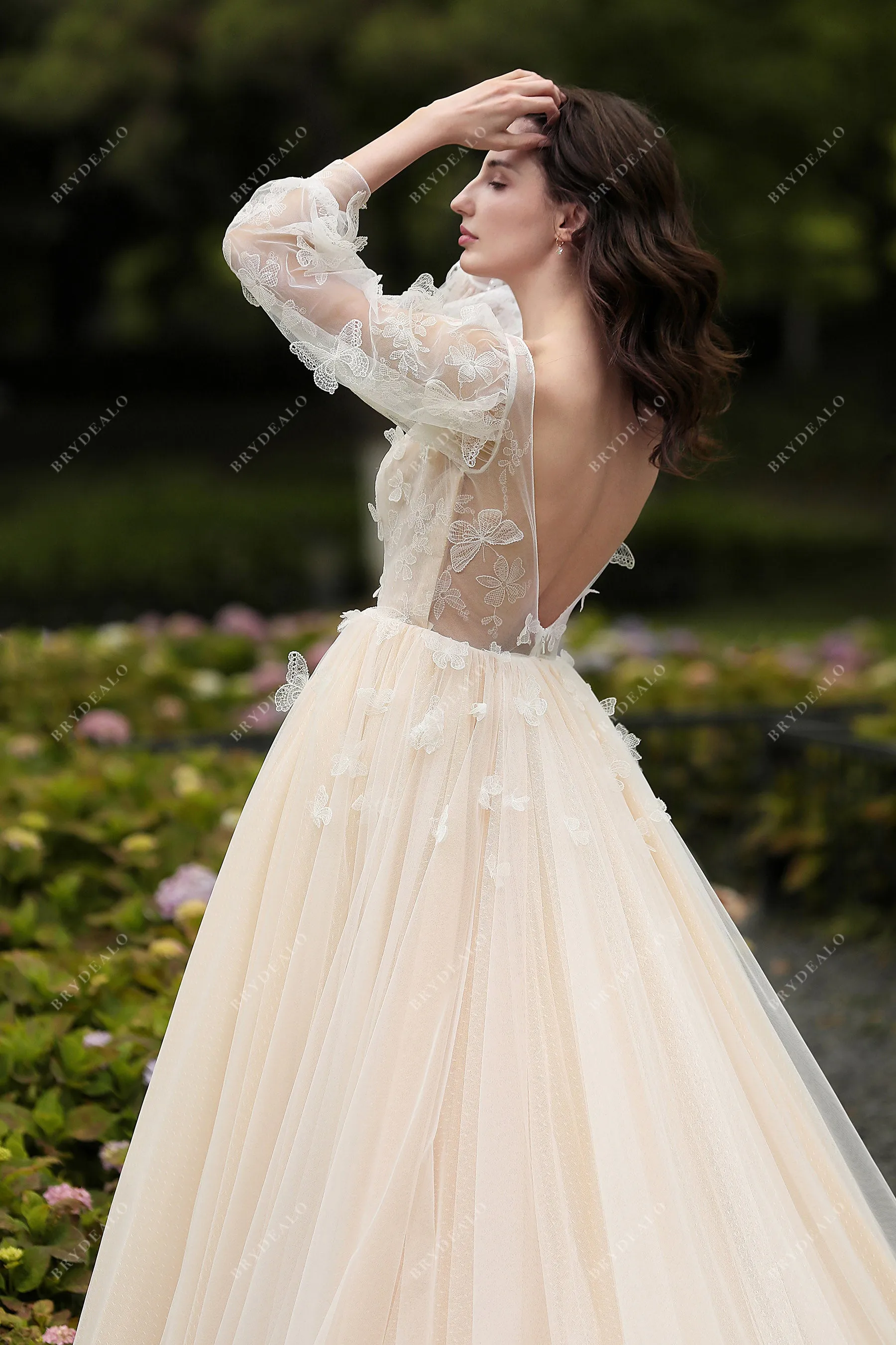 Colored Butterfly Cinderella Wedding Gown