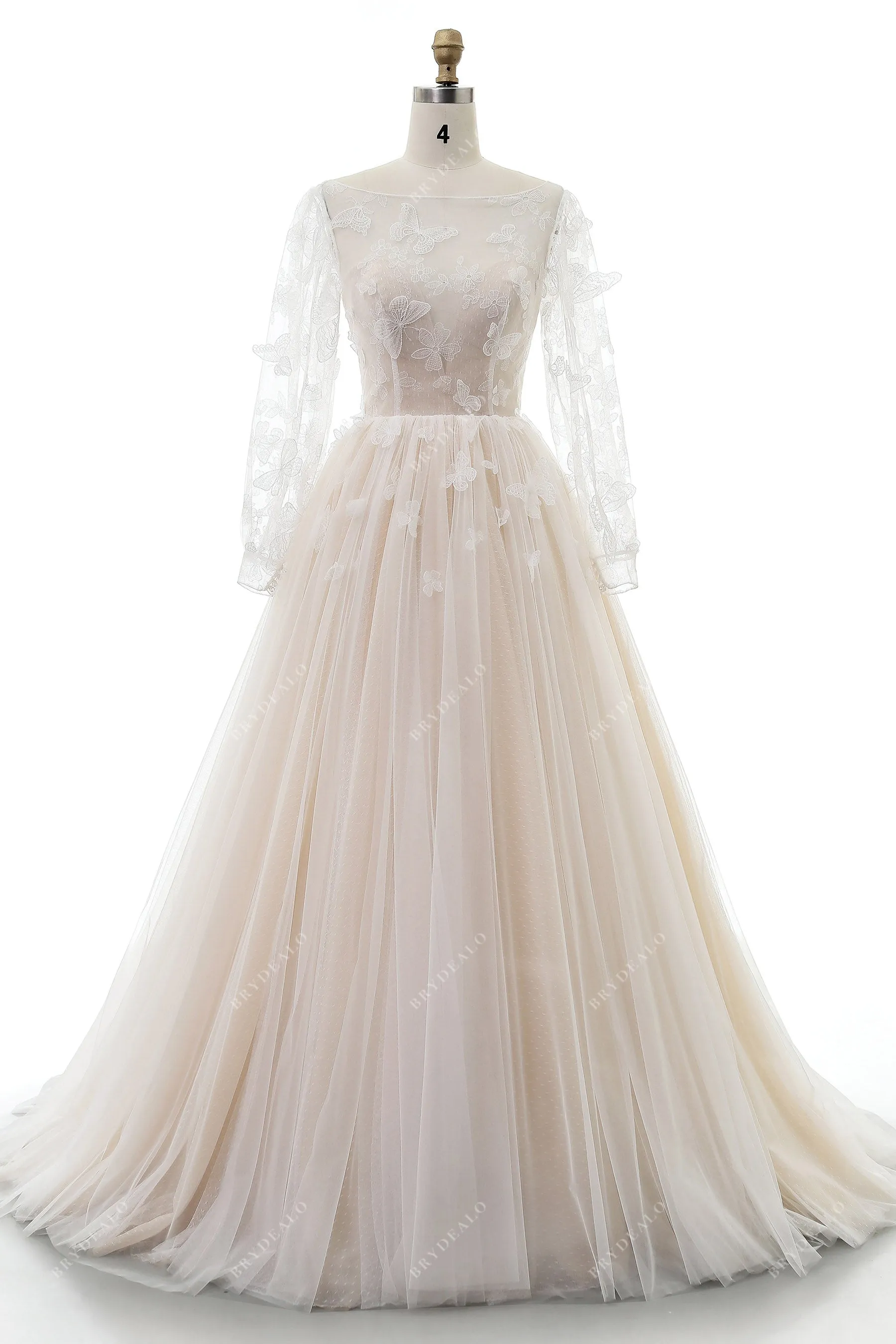 Colored Butterfly Cinderella Wedding Gown