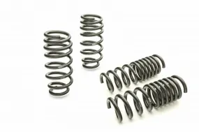 Eibach Pro-Kit Lowering Springs: Chrysler 300 / Dodge Charger 2011 - 2024 (Exc. SRT8 / AWD)