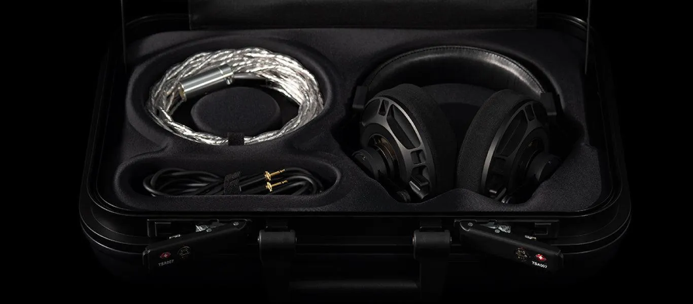 Final D8000 Pro Limited Edition | Open Back Planar Magnetic Headphones